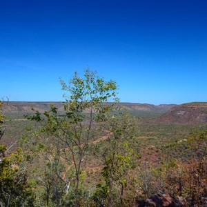 Lookout at Timber Creek