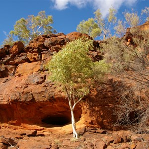 Palm Valley