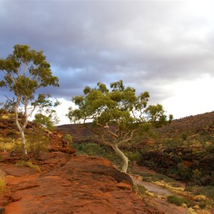 Palm Valley