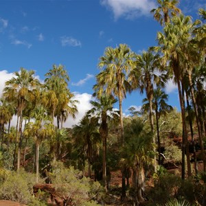 Palm Valley