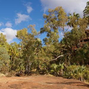 Palm Valley