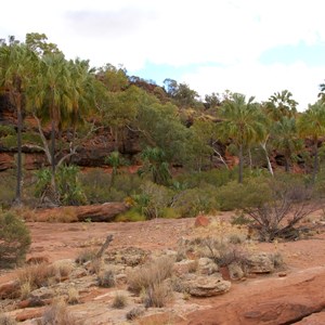 Palm Valley