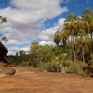 Palm Valley