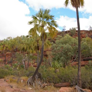 Palm Valley