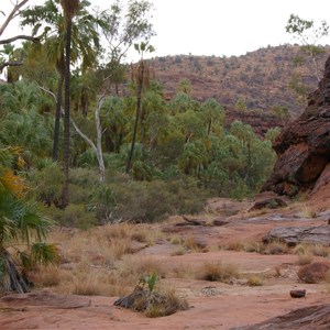 Palm Valley