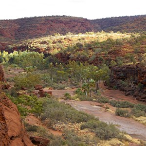 Palm Valley