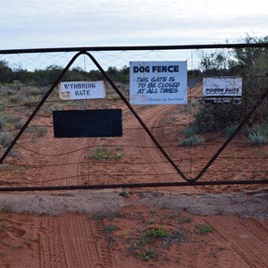 Dog Fence - Wynbring Gate