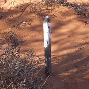 Old Wooden Survey Peg