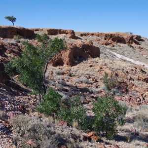 Dingo Caves