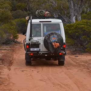 Buckleboo Stock Route Turnoff