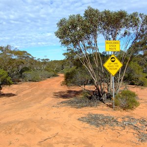 Buckleboo Stock Route Turnoff