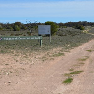Wahgunyah Conservation Park - Eastern Boundary