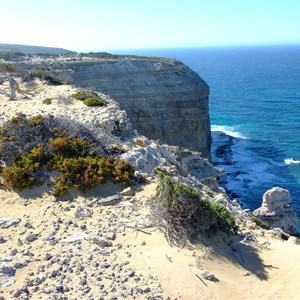 Blue Whale Bay Walk