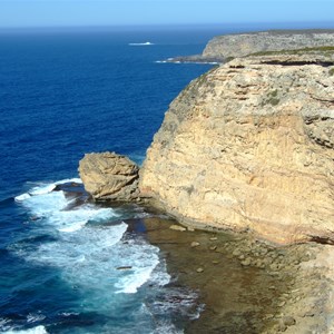 Blue Whale Bay Walk