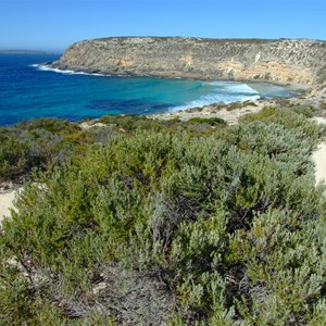 Blue Whale Bay Walk