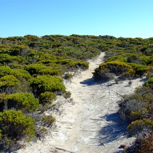 Blue Whale Bay Walk 