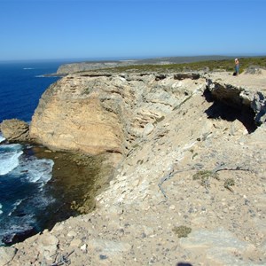 Blue Whale Bay Walk 