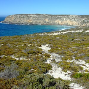 Blue Whale Bay Walk 