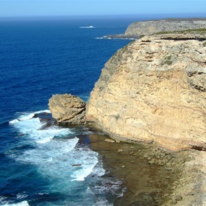 Blue Whale Bay Walk 