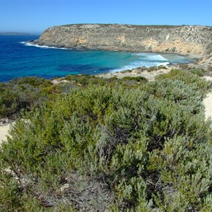 Blue Whale Bay Walk 