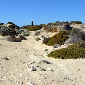 Blowhole & Baleen Rockpool Walk