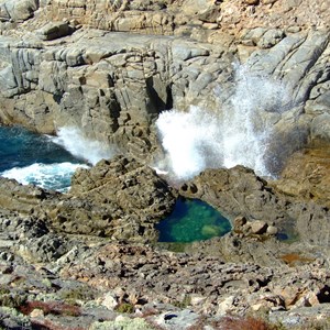 Blowhole & Baleen Rockpool Walk