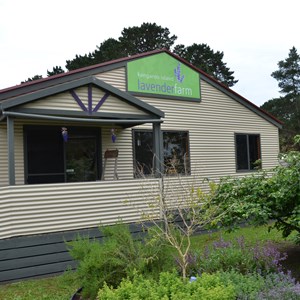 Kangaroo Island Lavender Farm