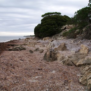 Cape Gantheaume Conservation Park D’Estrees Bay Self-guided Drive - Stop 1