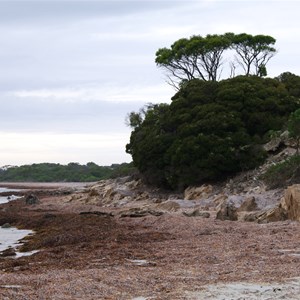 Cape Gantheaume Conservation Park D’Estrees Bay Self-guided Drive - Stop 1