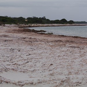 Cape Gantheaume Conservation Park D’Estrees Bay Self-guided Drive - Stop 1