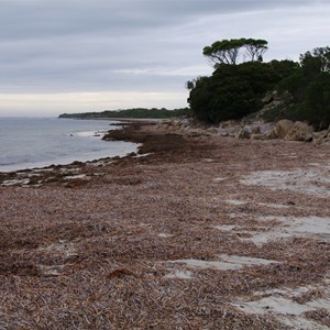 Cape Gantheaume Conservation Park D’Estrees Bay Self-guided Drive - Stop 1