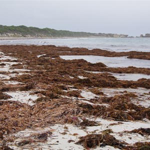 D’Estrees Bay Self-guided Drive - Stop 5 - Wreckers Beach