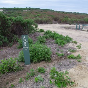 D’Estrees Bay Self-guided Drive - Stop 5 - Wreckers Beach