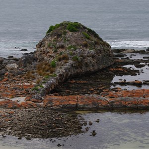 D’Estrees Bay Self-guided Drive - Stop 6 - Old Threshing Floor and Tadpole Cove 