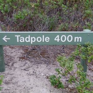 D’Estrees Bay Self-guided Drive - Stop 6 - Old Threshing Floor and Tadpole Cove 