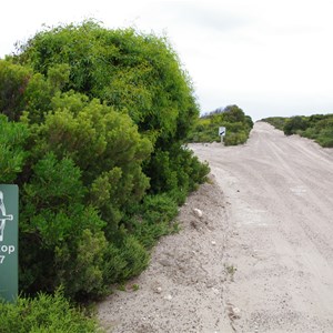 D’Estrees Bay Self-guided Drive - Stop 7 - Wheatons Beach