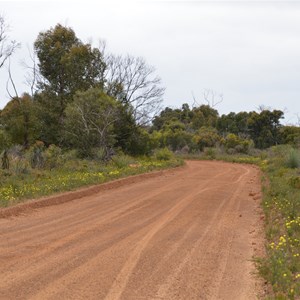 Shackle Road Self Guided Drive - Stop 4