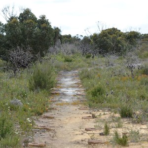 Shackle Road Self Guided Drive - Stop 6