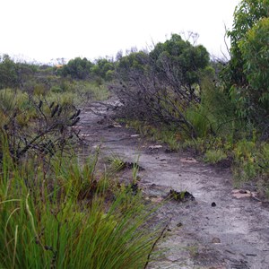 Shackle Road Self Guided Drive - Stop 6