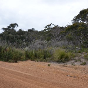 Shackle Road Self Guided Drive - Stop 7