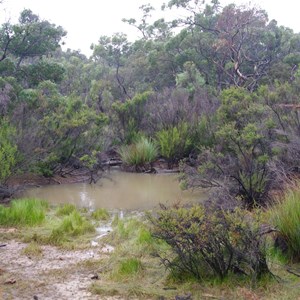 Shackle Road Self Guided Drive - Stop 7