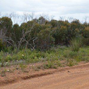 Shackle Road Self Guided Drive - Stop 8