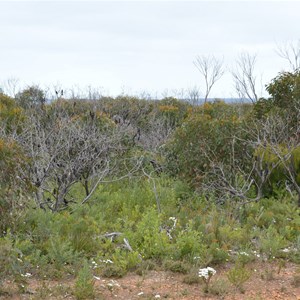 Shackle Road Self Guided Drive - Stop 8