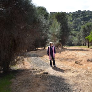 Old Threshing Floor - Ironstone Hill Hike