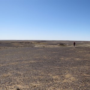 Went to see white salt, got black gibbers first