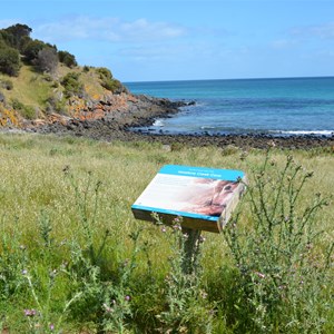 Ironstone Creek Cove
