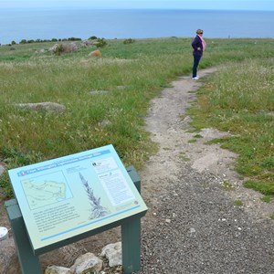 Cape Willoughby Lightstation Heritage Walk