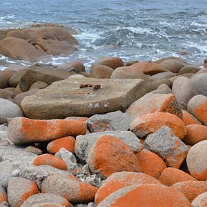 Cape Willoughby Lightstation Heritage Walk - Stop 4