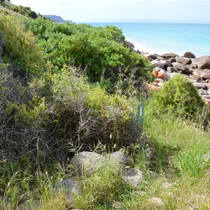 Cape Willoughby Lightstation Heritage Walk - Stop 5