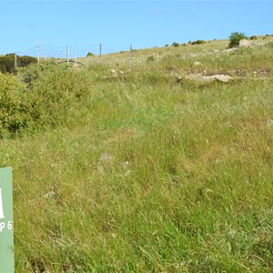 Cape Willoughby Lightstation Heritage Walk - Stop 6